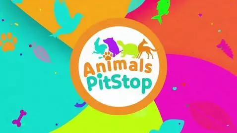 AI Video from prompt: Make a 2-second intro for a channel about animal