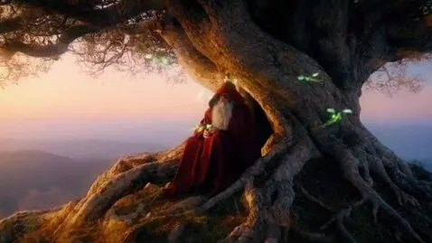 AI Video from prompt: The scene opens with a Wizard with a long gray b