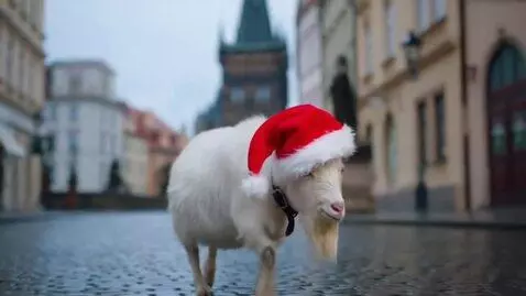AI Video from prompt: a video of a goat with Santa hat walking through