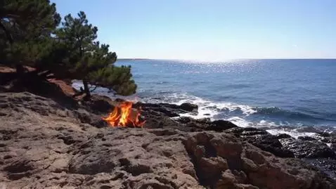 AI Video from prompt: A sunny day, the seashore, a low rocky slope and