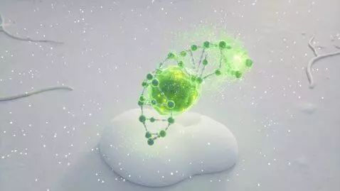 AI Video from prompt: A soft scientific animation representing folic a