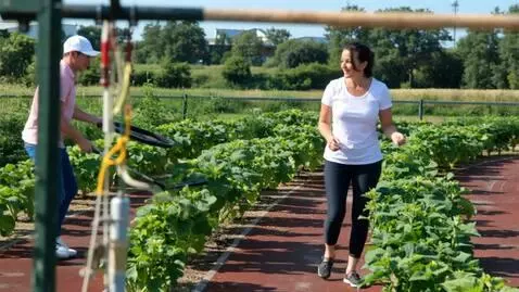 AI Video from prompt: In this vedio