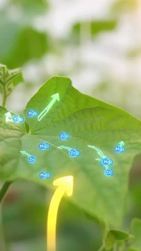 AI Video from prompt: A seamless vertical 9:16 cinematic video of a mo