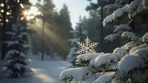 AI Video from prompt: Cinematic, wide shot of an enchanted winter fore