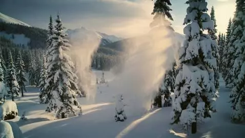 AI Video from prompt: Beautiful winter forest, trees covered with fluf