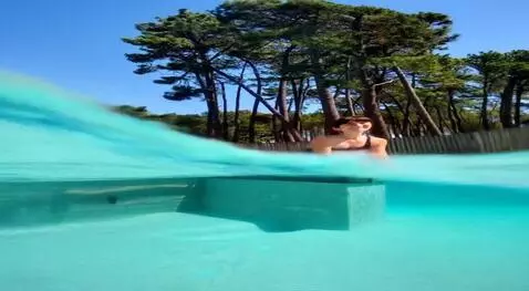 AI Video from prompt: "He dives in, goes submerged, and when he surfac