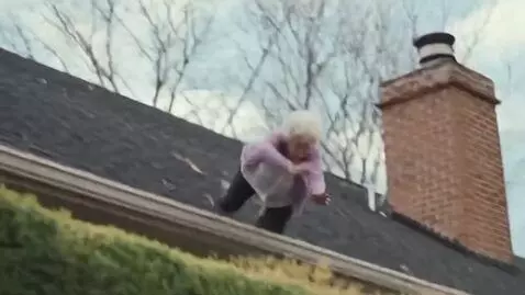 AI Video from prompt: Grandma fell off the roof