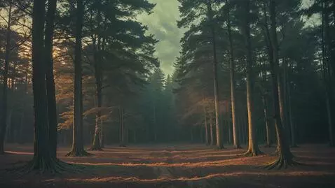 AI Video from prompt: Wide shot Maine forest 1952, sudden unnatural st
