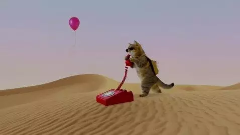 AI Video from prompt: A surreal scene in the middle of a desert: a vin