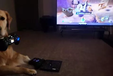 AI Video from prompt: A hyper-realistic vlog-style video filmed from a