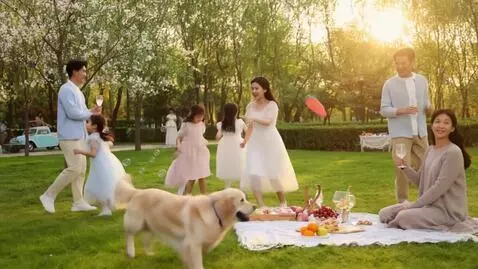 AI Video from prompt: Under a golden afternoon sun, well-dressed famil