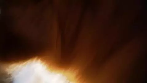 AI Video from prompt: Dog money spreading