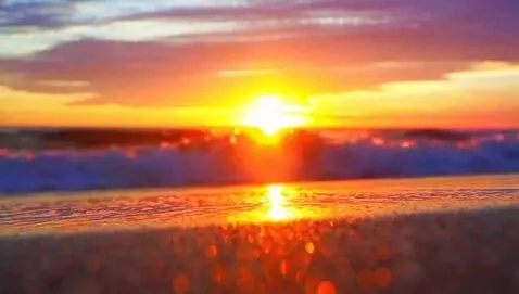 AI Video from prompt: Sunset over the beach