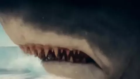 AI Video from prompt: Shark running on land