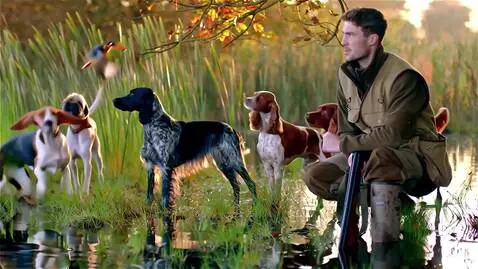 AI Video from prompt: A snipe is a bird, but every hunter knows that h