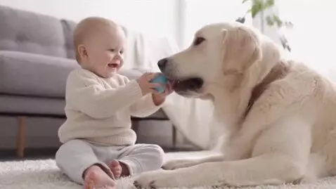 AI Video from prompt: cute baby in frnd dog