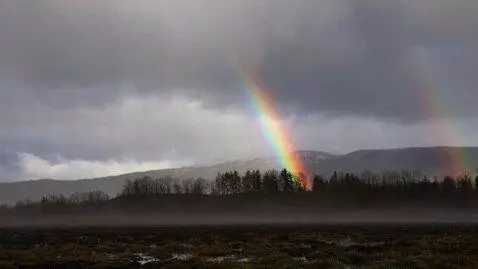 AI Video from prompt: Generate a landscape, style gloomy, with natural