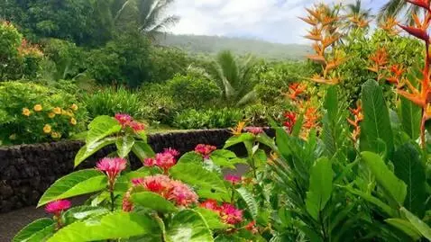 AI Video from prompt: Hawaiian greenery, flowers