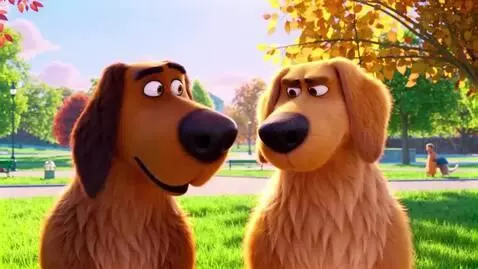 AI Video from prompt: The dog says to the dog, why are you a dog