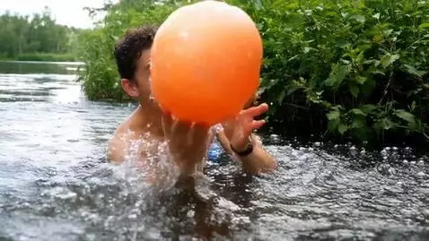 AI Video from prompt: highly stakes nature moments  It must have a gre