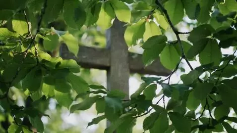 AI Video from prompt: Format: Vertical 9:16 Duration: 8 seconds Time o