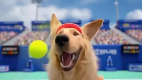 AI Video from prompt: A funny AI video where a small cat seriously pla