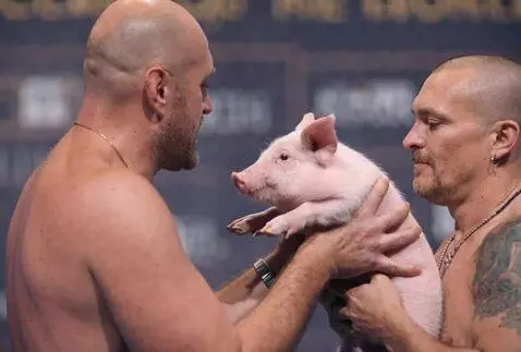 AI Video from prompt: They pass the pigs to each other