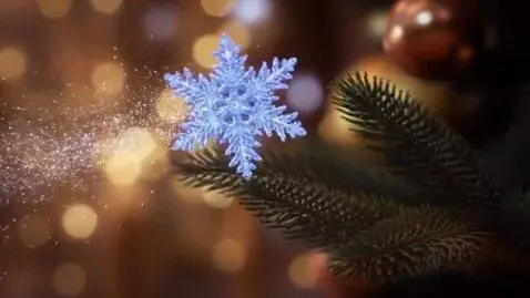 AI Video from prompt: A magical, abstract space with a blurred bokeh o