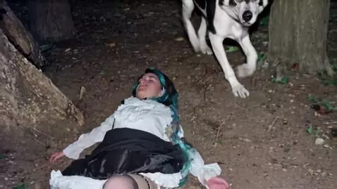 AI Video from prompt: a running past dog, see the girl, stops and piss