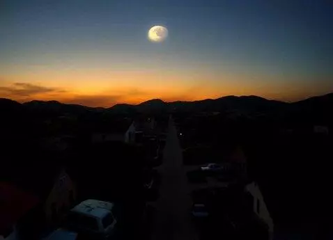 AI Video from prompt: It's interesting to animate a photo