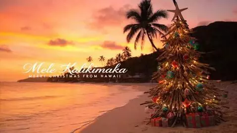 AI Video from prompt: Merry  Christmas  from Hawaii