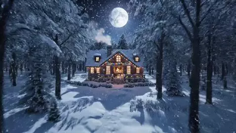 AI Video from prompt: One night, with snow falling gently in the moonl