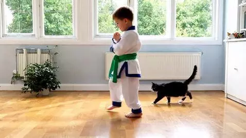 AI Video from prompt: The child does kung fu poses, the cat does rando