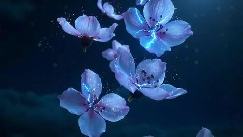 AI Video from prompt: Falling sakura petals with electric currents: so