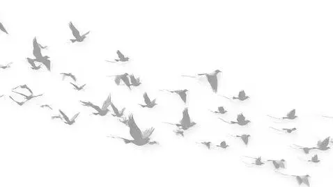 AI Video from prompt: - Project: 40-second white-on-white animation wi