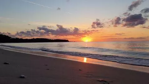 AI Video from prompt: beach in sunset