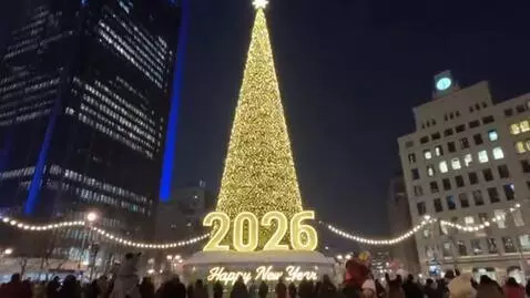 AI Video from prompt: The city's New Year's tree, no one's confused ab