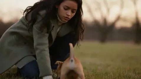 AI Video from prompt: She stares down at his small stiff