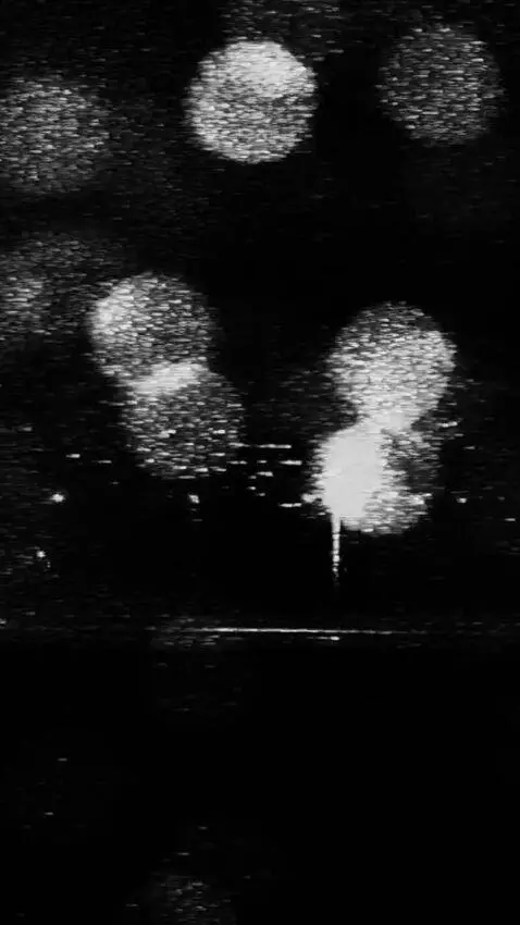 AI Video from prompt: Imagine that this is a shot from a moving train.