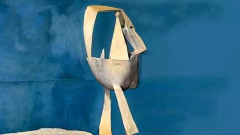 AI Video from prompt: The creature is walking, walking