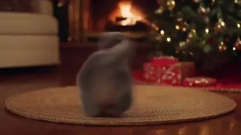 AI Video from prompt: A cat that spins to the song "Jingle Bens"