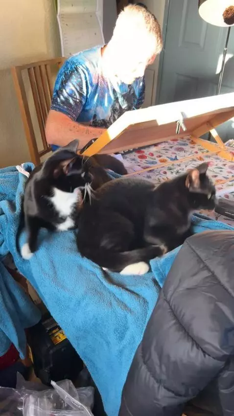 AI Video from prompt: Make them start Dancing