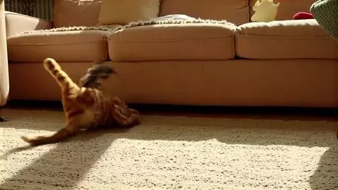 AI Video from prompt: Orange ginger tabby cat play with mouse
