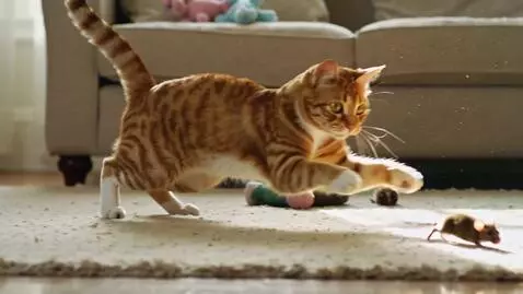 AI Video from prompt: Orange ginger tabby cat play with mouse