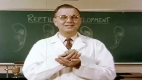 AI Video from prompt: 1950s educational film still, faded color, a cle