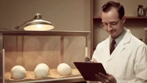 AI Video from prompt: 1950s educational film laboratory shot of a man 