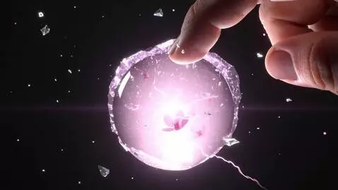 AI Video from prompt: Macro slow-motion: a glowing crystal orb cracks 