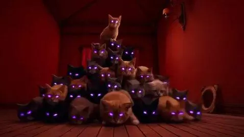AI Video from prompt: Cats with purple glowing eyes are all stacked up
