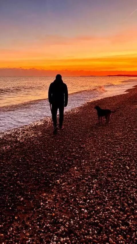 AI Video from prompt: Man walks dog on beach as sunsets beautifully, t