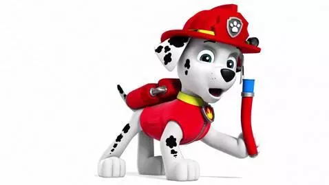 AI Video from prompt: Marshall sprays the water hose and puts out fire